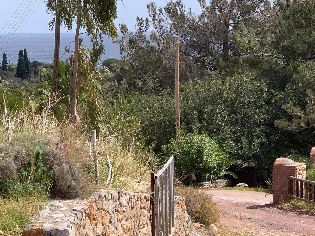 Villa Sea View Mesa Mpanta Káto Zákros Екстериор снимка